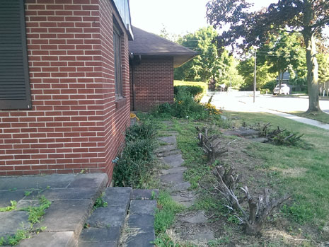 Professional Lawn Care & Landscaping in Lockport