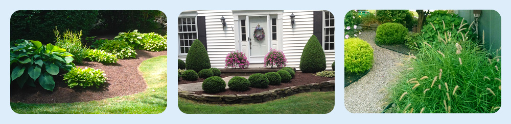 Lockport Lawn care, WNY lawn care service
