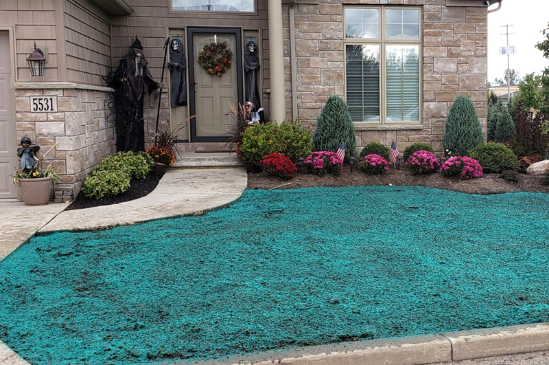 Hydroseeding-DSC00950
